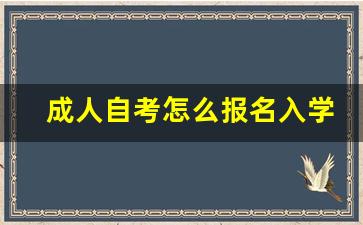 成人自考怎么报名入学