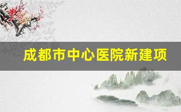 成都市中心医院新建项目