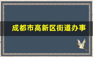 成都市高新区街道办事处电话_成都桂溪街道电话