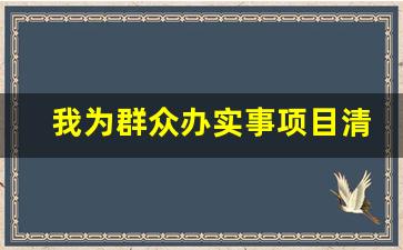 我为群众办实事项目清单上传日期_为群众办实事解难题不足