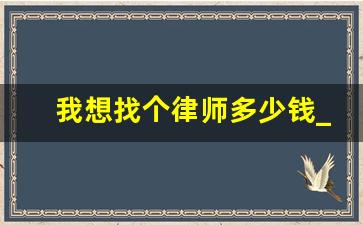 我想找个律师多少钱_找一个律师得花多少钱