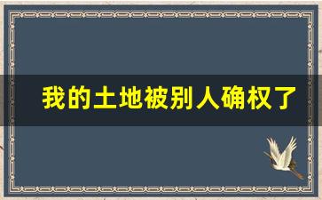 我的土地被别人确权了怎么办