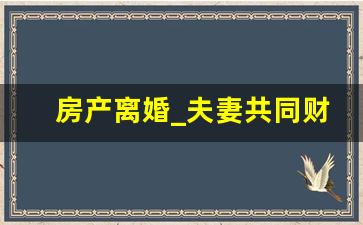 房产离婚_夫妻共同财产的定义