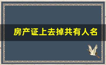 房产证上去掉共有人名字流程