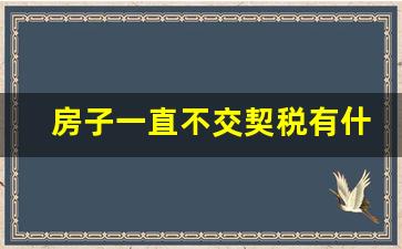 房子一直不交契税有什么后果