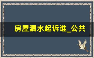 房屋漏水起诉谁_公共区域漏水能起诉房东吗