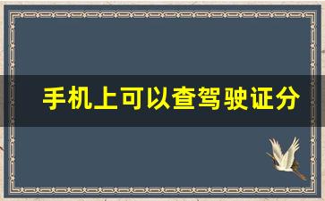 手机上可以查驾驶证分数吗