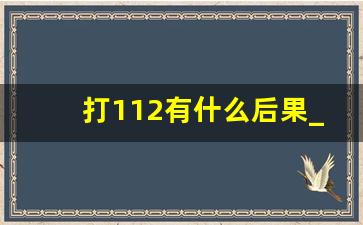 打112有什么后果_什么情况下打112