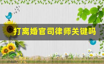 打离婚官司律师关键吗