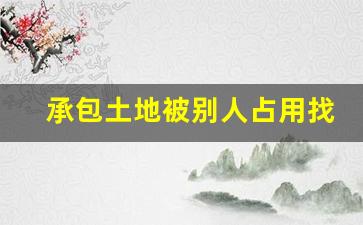 承包土地被别人占用找谁处理_12345可以解决土地纠纷吗