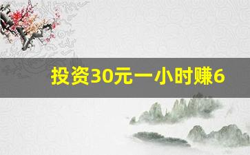 投资30元一小时赚600_小投资平台每天有收益