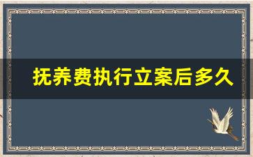 抚养费执行立案后多久去执行