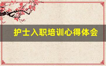 护士入职培训心得体会1500字