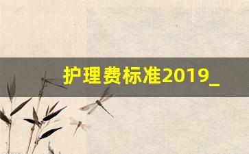 护理费标准2019_护理费