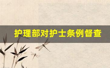 护理部对护士条例督查表_2022年医院护理部工作总结