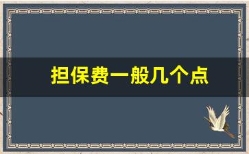 担保费一般几个点