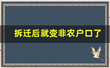 拆迁后就变非农户口了吗_拆迁非农业户口能享受待遇吗