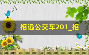 招远公交车201_招远城乡公交站点