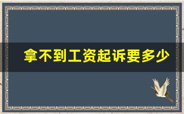 拿不到工资起诉要多少钱_怎么起诉公司不给工资