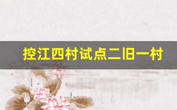 控江四村试点二旧一村_控江四村马路边上有几栋楼