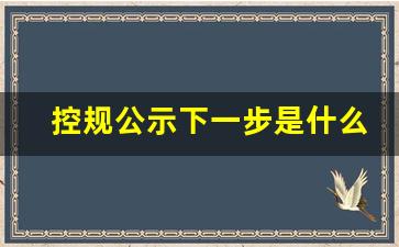 控规公示下一步是什么_工程项目公示后下一步