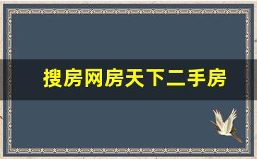 搜房网房天下二手房