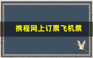 携程网上订票飞机票