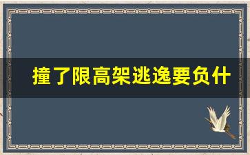 撞了限高架逃逸要负什么责任_车撞了限高杆交警要罚款扣分