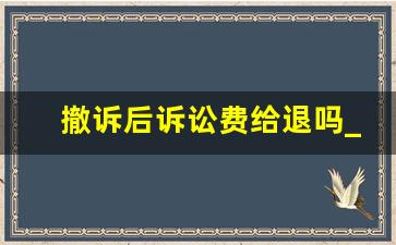 撤诉后诉讼费给退吗_10万元诉讼费多少钱