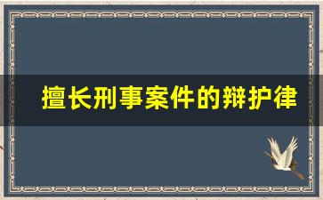 擅长刑事案件的辩护律师_律师辩护费用