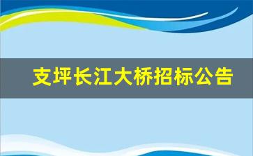 支坪长江大桥招标公告_江津小南海长江大桥招标