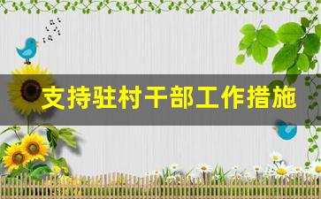 支持驻村干部工作措施_驻村工作存在的问题及下一步计划