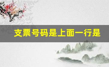 支票号码是上面一行是什么_银行支票有名字吗