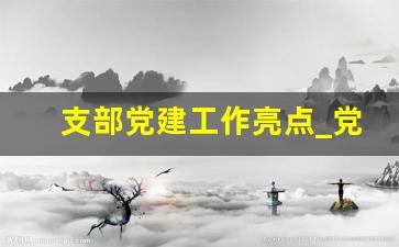 支部党建工作亮点_党建工作亮点汇报材料