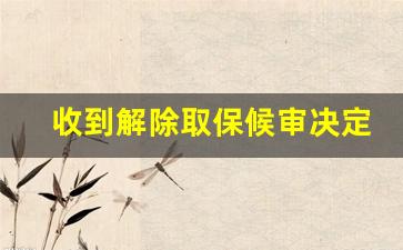 收到解除取保候审决定书_取保候审解除书是谁出的