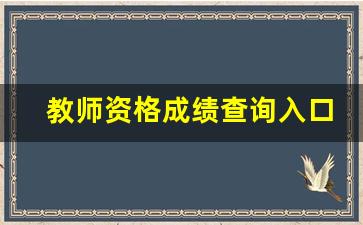 教师资格成绩查询入口2023下半年_NTCE中国教师资格网