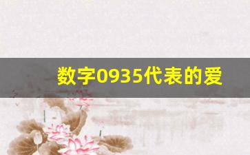 数字0935代表的爱情意思