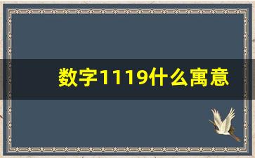 数字1119什么寓意_1119好还是1117好