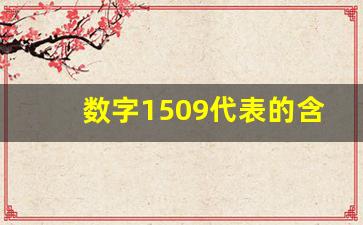 数字1509代表的含义