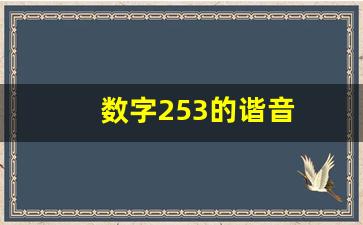 数字253的谐音