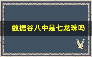 数据谷八中是七龙珠吗_数据谷八中和一外怎么选