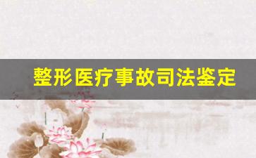 整形医疗事故司法鉴定机构_医疗鉴定申请书标准范文