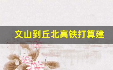 文山到丘北高铁打算建几年_南昆客专新增平远高铁站