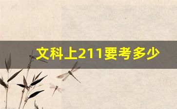 文科上211要考多少分