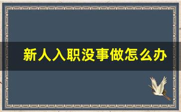 新人入职没事做怎么办