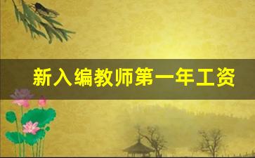 新入编教师第一年工资_高中教师资格证报考条件要求