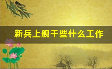 新兵上舰干些什么工作_海军出海一天补助多少钱