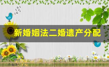 新婚姻法二婚遗产分配_二婚重组家庭子女继承权问题