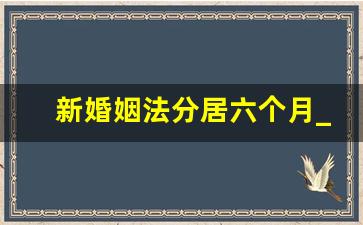 新婚姻法分居六个月_新婚姻法分居一年