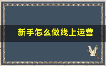 新手怎么做线上运营